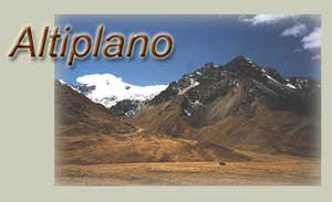 Altiplano