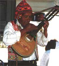 Musician on bus